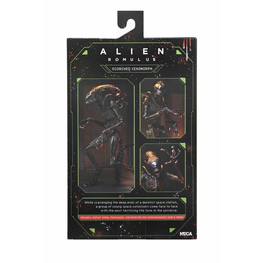 未開封　NECA エイリアン:ロムルス/ スコーチド ゼノモーフ 未開封品 NECA ネカ スコーチドゼノモーフ エイリアンロムルス
