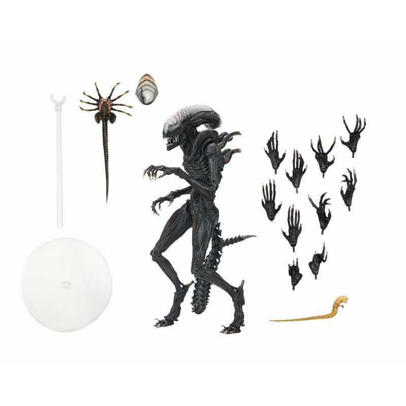 エイリアン:ロムルス アルティメット 7インチ アクションフィギュア/スコーチド ゼノモーフ | ブランド登録なし | 02