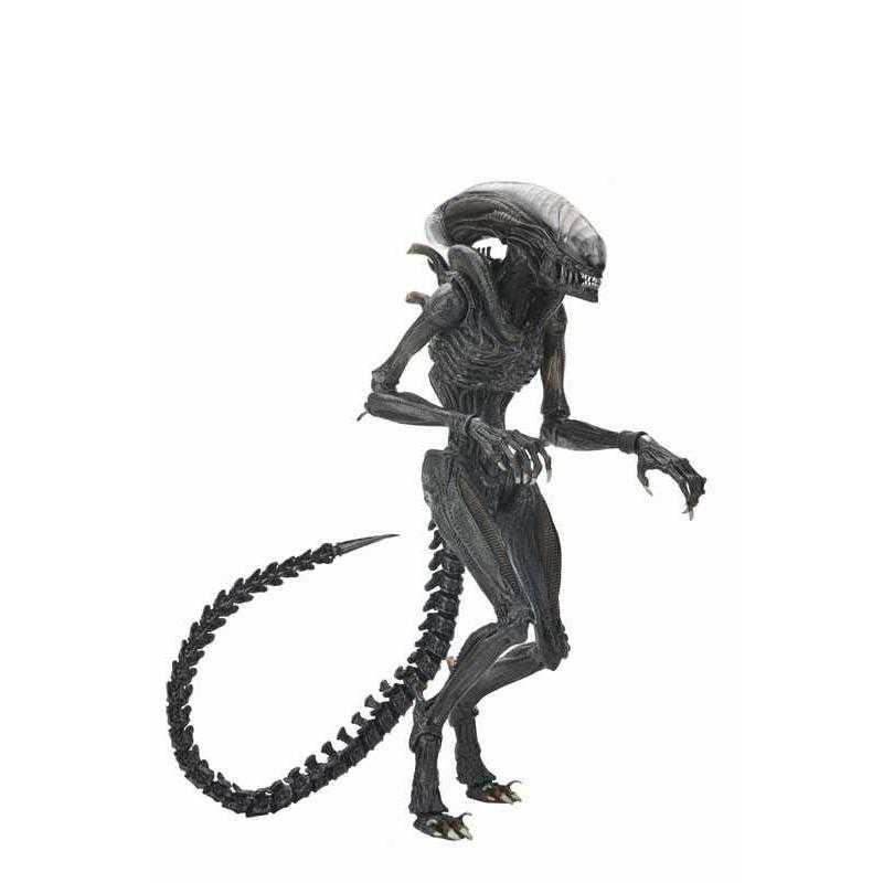 エイリアン:ロムルス アルティメット 7インチ アクションフィギュア/スコーチド ゼノモーフ | ブランド登録なし | 03