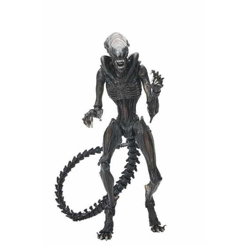 エイリアン:ロムルス アルティメット 7インチ アクションフィギュア/スコーチド ゼノモーフ | ブランド登録なし | 04