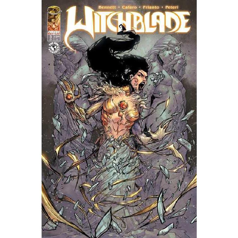 英語コミック14冊セット Witchblade他 英語コミック14冊セット