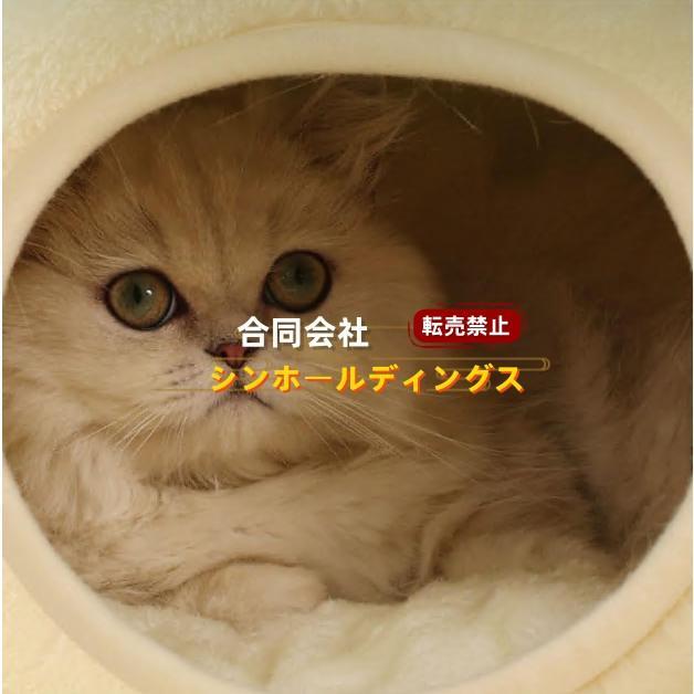 猫 犬 ベッド ペットハウス カエル ドーム型 猫ベッド 犬ハウス ペット 
