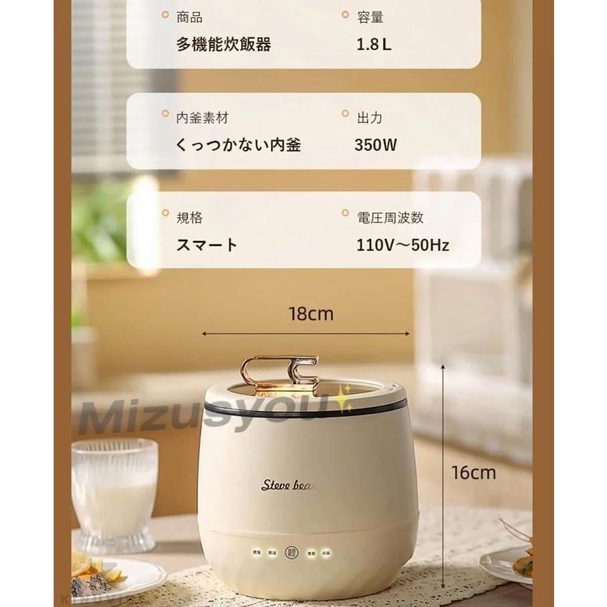 炊飯ジャ 2合炊き 炊飯器 ひとり暮らし小型 一人暮らし 1人用 一人用