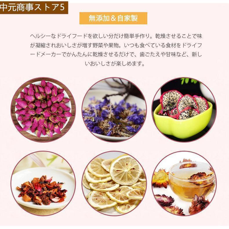 乾燥器 食品 ドライフードメーカー レシピ付き 新型 ドライフルーツ