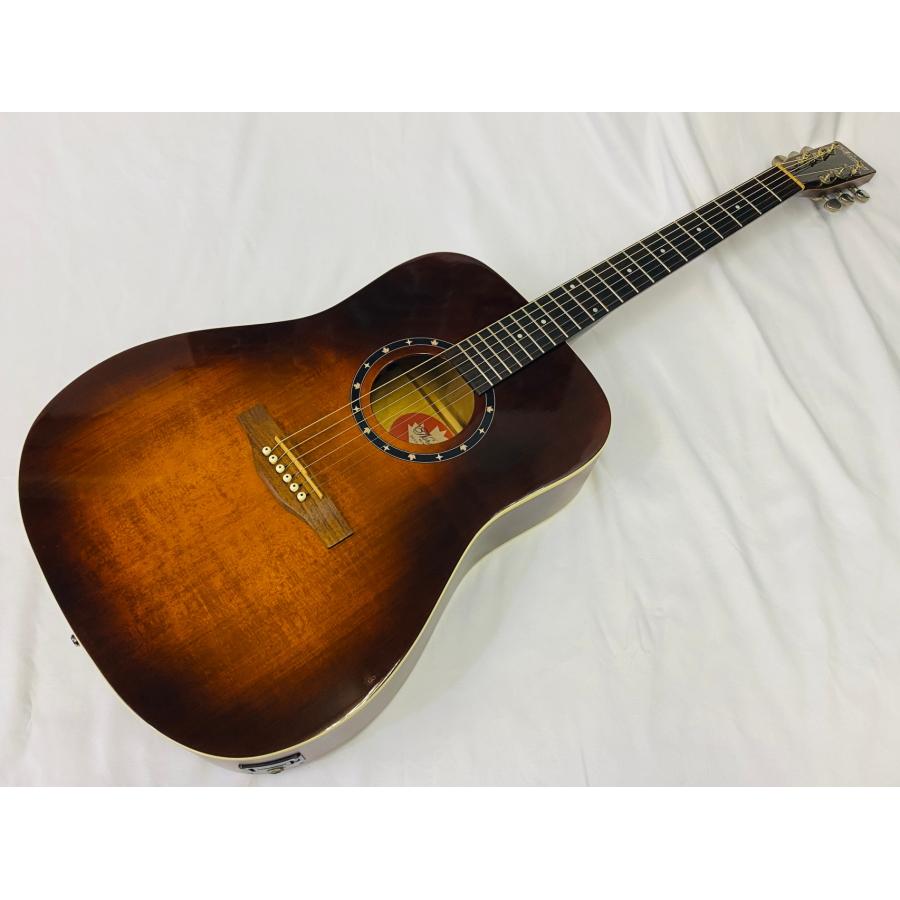 Norman B20 Burnt Umber GT ノーマン エレアコ アコースティックギター 