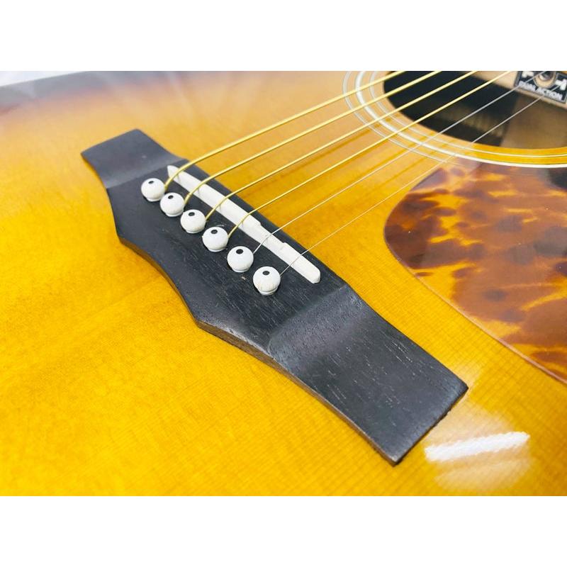 Morris Morris M-401 TS モーリス アコースティックギター 中古 : 中古