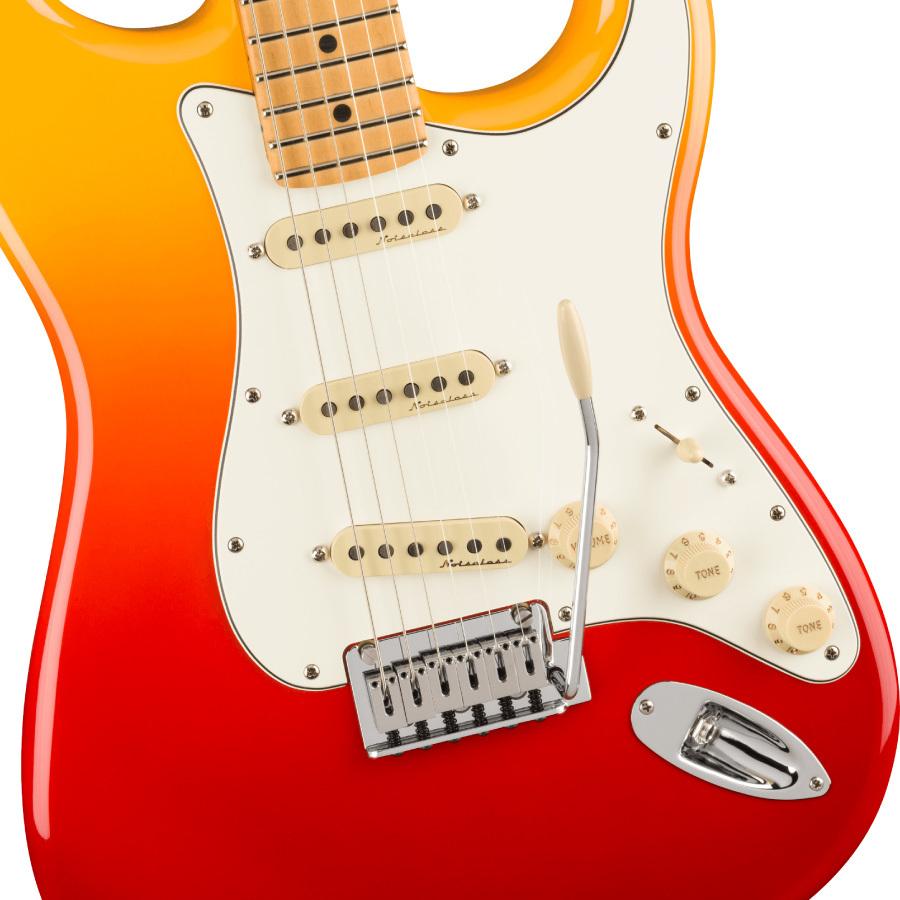 ギター fender player plus Fender 【現物画像】Player Plus Stratocaster Pau Ferro Fingerboard