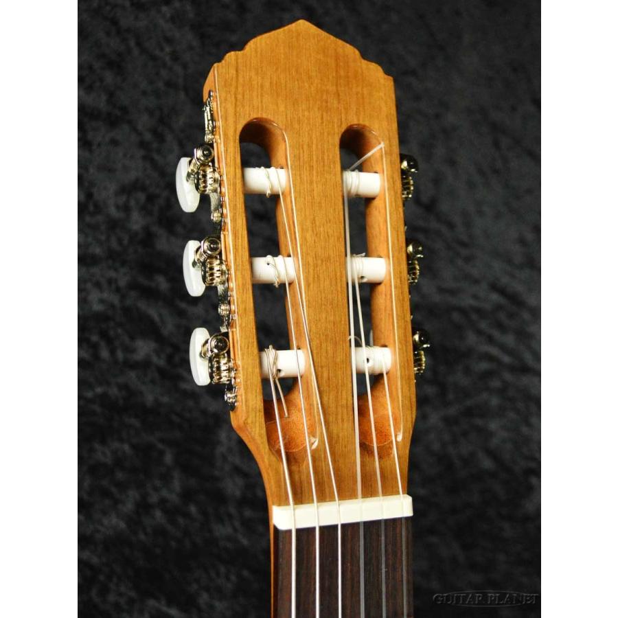 Antonio Sanchez EG-1NTE Spruce 松/マホガニー《アコギ》 : ギター