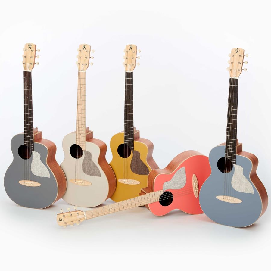aNueNue Bird Guitar M Color Series MC10《アコギ》 : ギター