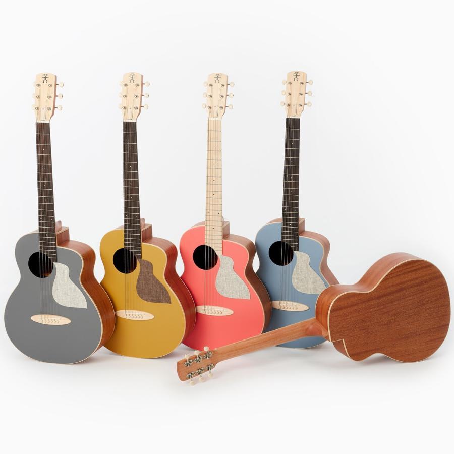 aNueNue Bird Guitar M Color Series MC10《アコギ》 : ギター