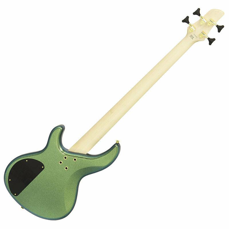 Aria Proll 【限定カラー!!】Aria Pro II IGB-CC GRBL(Green/Blue