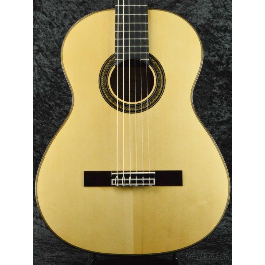 ARIA（アリア） ARIA A-50S 松/ローズウッド 新品《アコギ》 : ギター