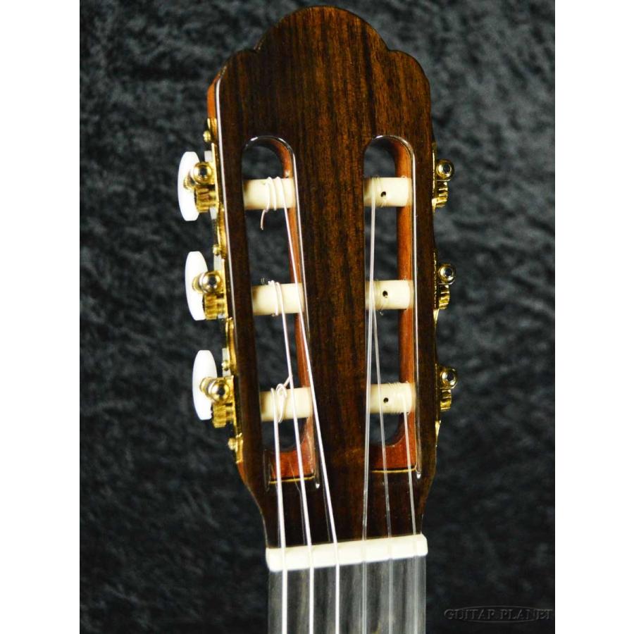 ARIA（アリア） ARIA A-50S 松/ローズウッド 新品《アコギ》 : ギター