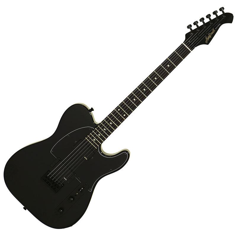ARIA（アリア） 【数量限定モデル】 Aria Pro II TEG-CORE -BK(Black