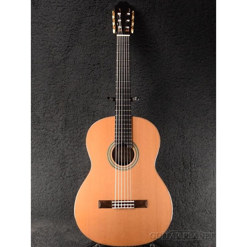 ASTURIAS DOUBLE SIDE RR 杉/ローズウッド《アコギ》 : ギター