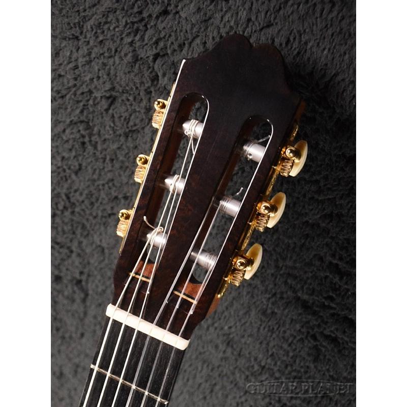 ASTURIAS DOUBLE SIDE RR 杉/ローズウッド《アコギ》 : ギター