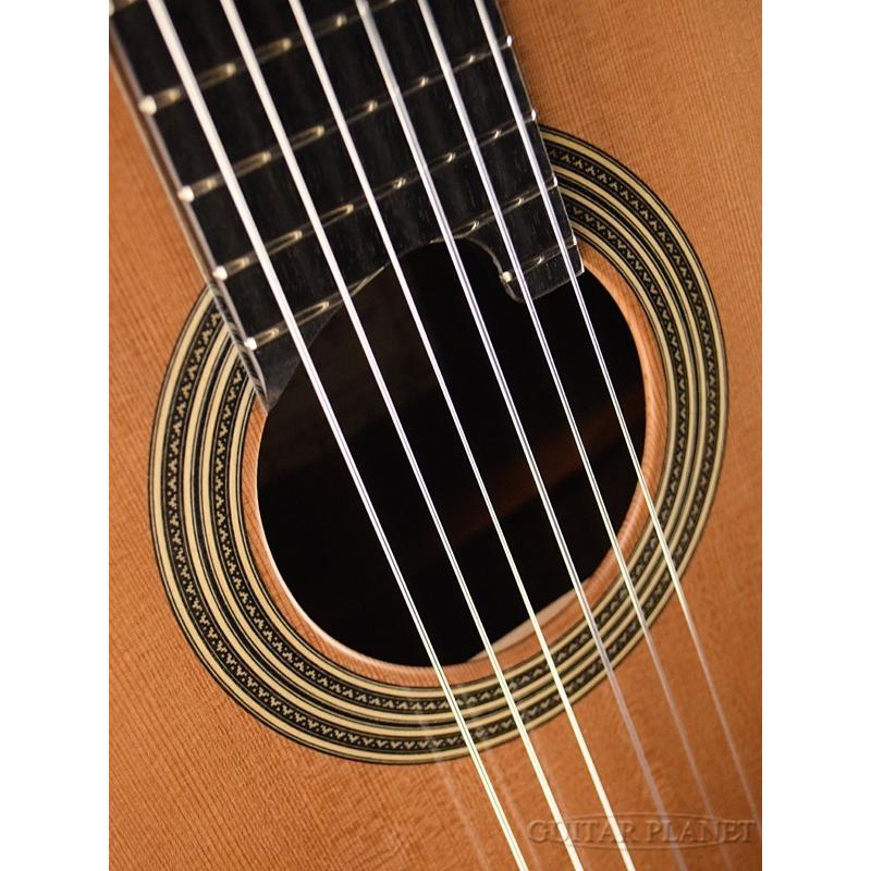 ASTURIAS DOUBLE SIDE RR 杉/ローズウッド《アコギ》 : ギター