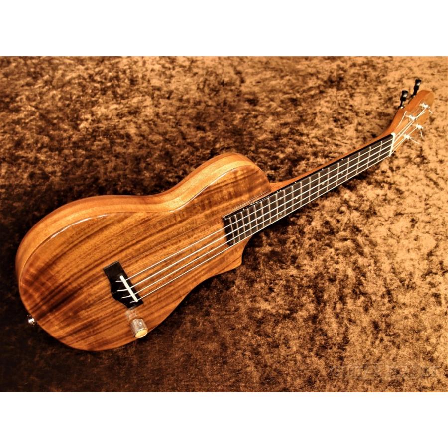 かわいい！ Big Island EBU-ACA-N EB エレキベースウクレレ EBU Series