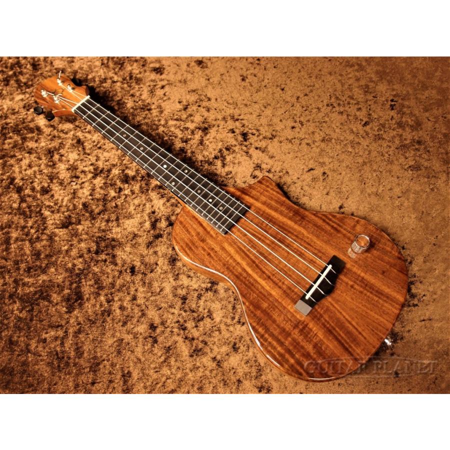 Big Island EUL-ACA-N/EB コンサートウクレレ/ロングネック《ウクレレ  