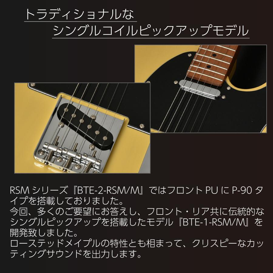 Bacchus Universe Series BTE-1-RSM M -3TS- │ サンバースト《エレキギター》 :bte1-rsm-m-3ts: ギタープラネット Yahoo!ショップ - 通販 - 