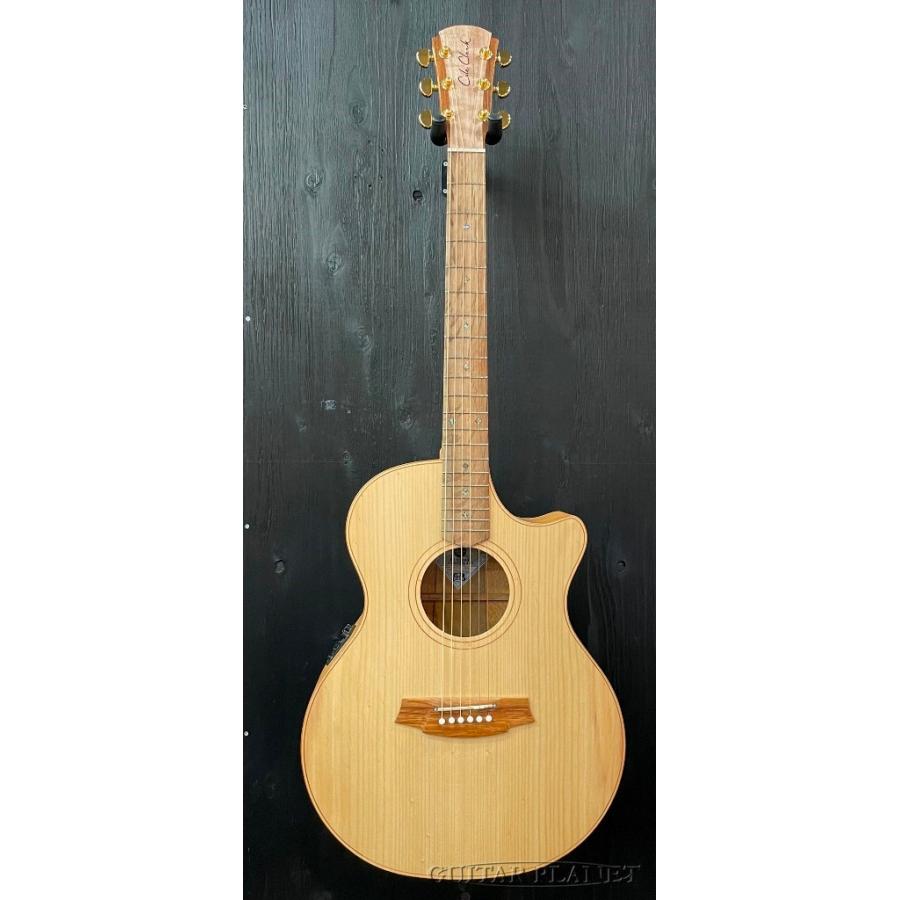 Cole Clark CCAN2EC-BSO ~Bunya×Southern Silky Oak~ #220615406