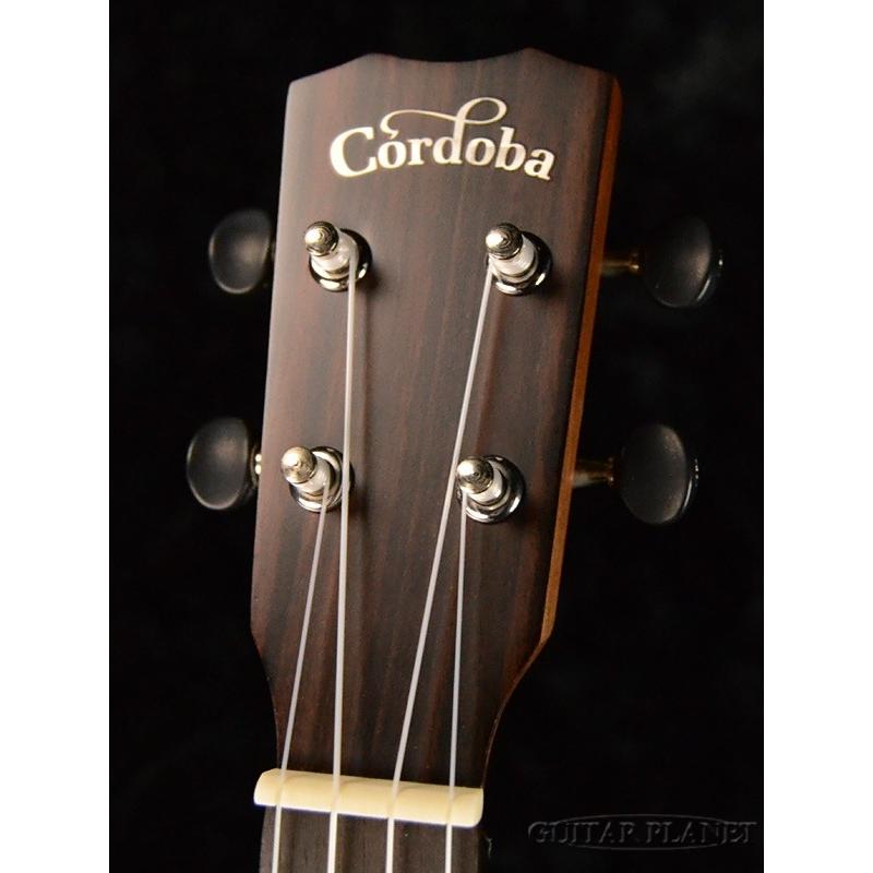 Cordoba 25C コンサートウクレレ 《ウクレレ》_7