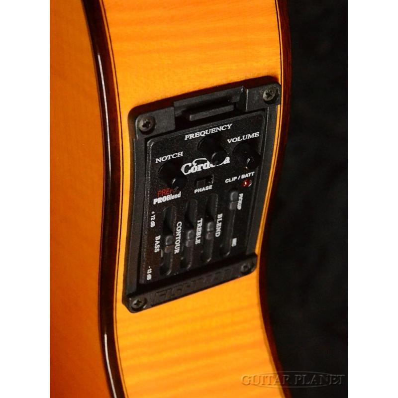 【新品未開封】 Cordoba 55FCE《アコギ》 【GMS2139299090】(75504円)