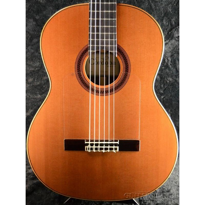 びょん】CORDOBA アコースティックギター（ガットギター） Amazon