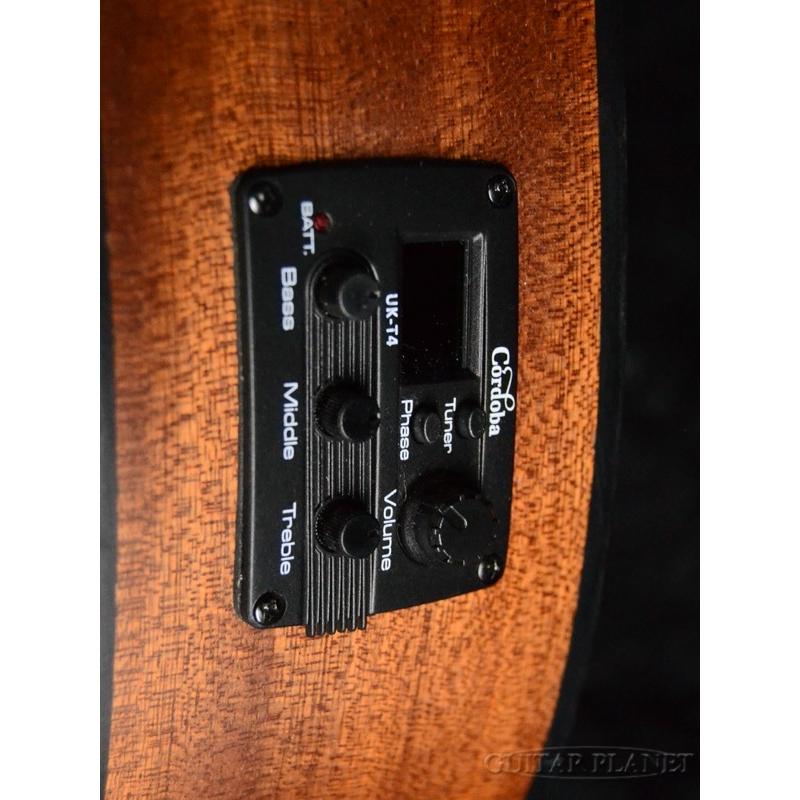 【美品】コルドバ Mini Ⅱ Bass MH-E ミニアコースティックベース Mini II Bass MH-E - Cordoba Guitars