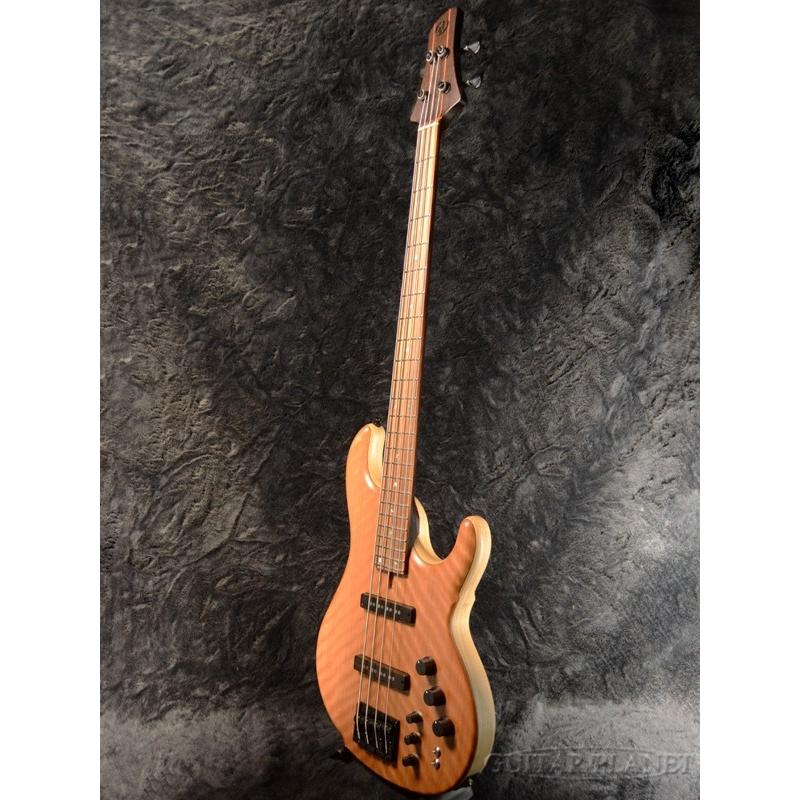 dragonfly CS-4 Custom -Flame Sapele Mahogany Top/Light