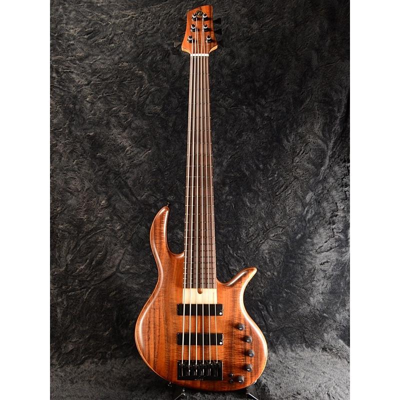 Elrick Gold Series E-volution 6st -Koa Top&Walnut Back-《ベース 