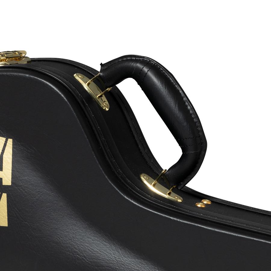 ⭐︎美品⭐︎Epiphone（エピフォン）ジョン・パスMODEL Epiphone Inspired by John Lennon Casino – Fabulous guitars