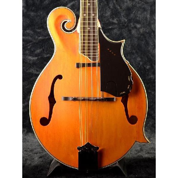 Epiphone MM-50E Professional Electric Mandolin ヴィンテージ