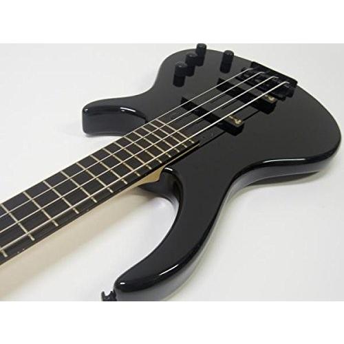 Epiphone（エピフォン） Epiphone Toby Bass Performance Pack 100V