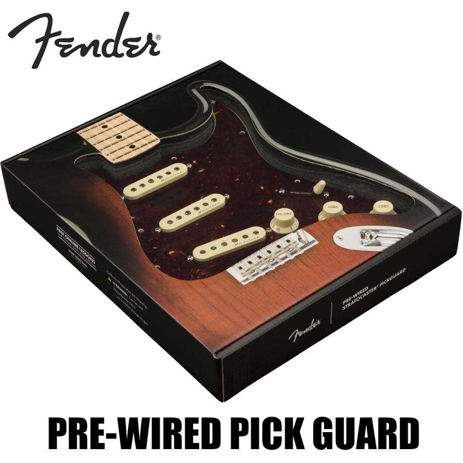 Fender Pre-Wired Strat Pickguard Vintage Noiseless SSS -Tortoise Shell / 11 Hole PG-│ リプレイスメントパーツ｜guitarplanet