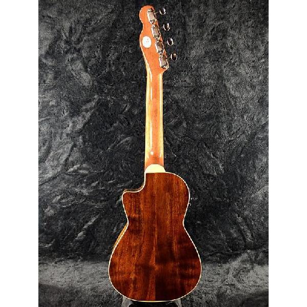 Fender Mino