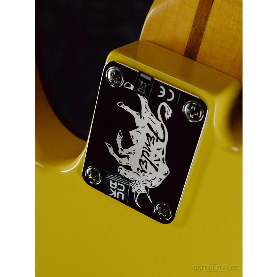 Fender（フェンダー） Fender USA Britt Daniel Tele Thinline