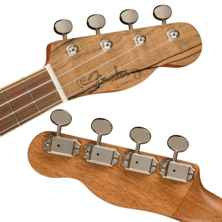 Fender ZUMA EXOTIC CONCERT UKULELE Natural Spalted Maple コンサートウクレレ