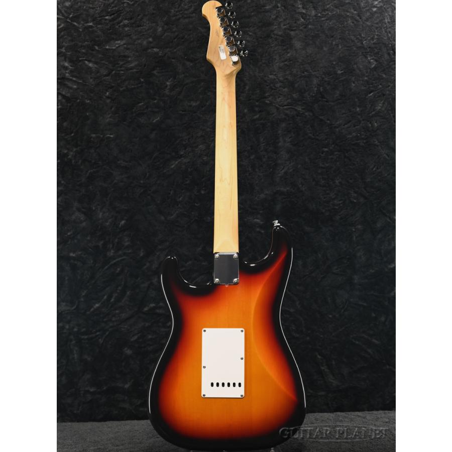 FUJIGEN（フジゲン） FgN(FUJIGEN) / BCST100RBD 3TS《エレキギター
