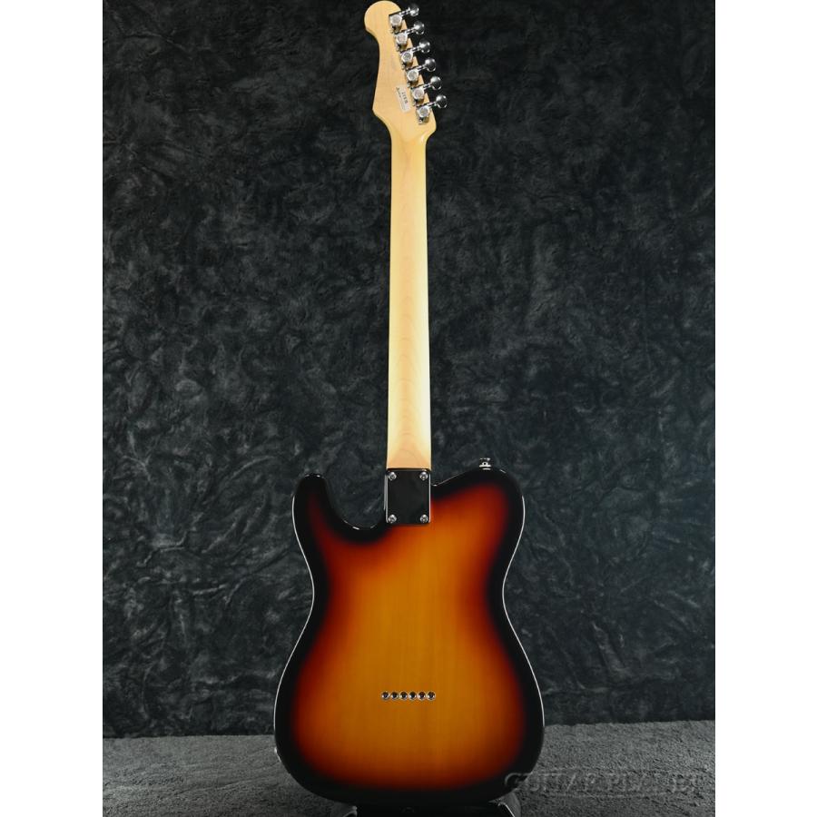 FUJIGEN（フジゲン） FgN(FUJIGEN) / BCTE100RBD 3TS《エレキギター