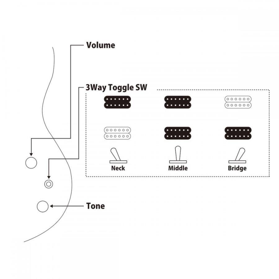 FUJIGEN Expert ELAN EEL-FM/TKS (Transparent Black Sunburst