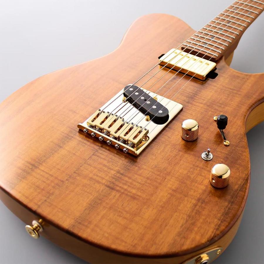 FUJIGEN（フジゲン） Fujigen(FGN) / EIL-EW2-HS-RM/VNT 新品《エレキ