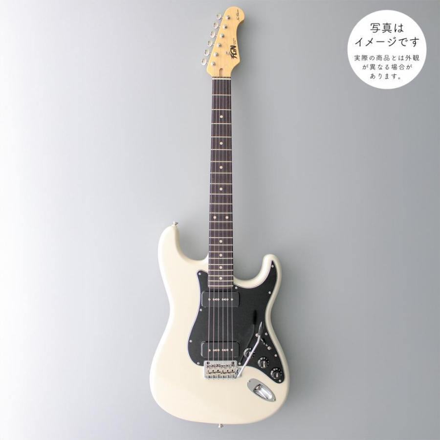 FUJIGEN（フジゲン） FgN(FUJIGEN) / Neo Classic NST Series
