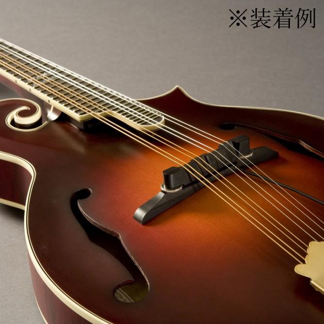 FISHMAN M-300 Nashville Series Archtop Mandolin Pickup | アーチ