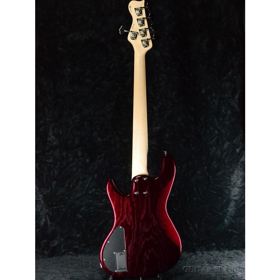 FREEDOM CUSTOM GUITAR RESEARCH C.S.Anthra 5st Active -SSK/MH