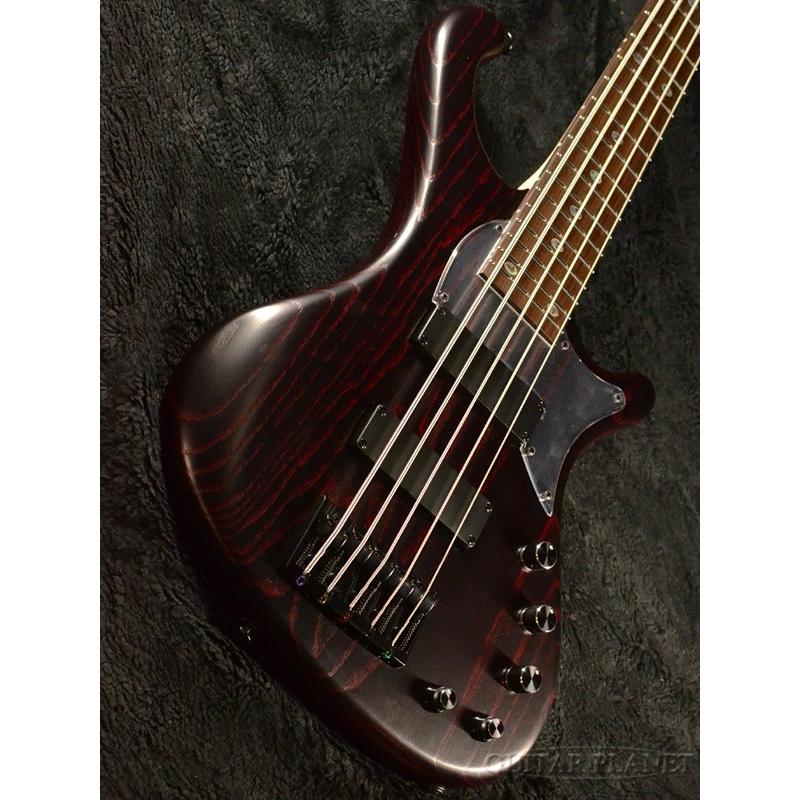 FREEDOM CUSTOM GUITAR RESEARCH Order Style Dulake Libero 5st