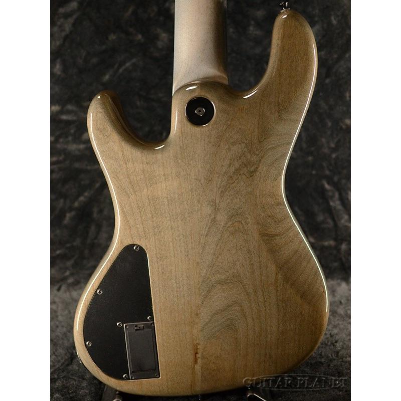 FREEDOM CUSTOM GUITAR RESEARCH Order Style FT Rhino 5st -ササナキ