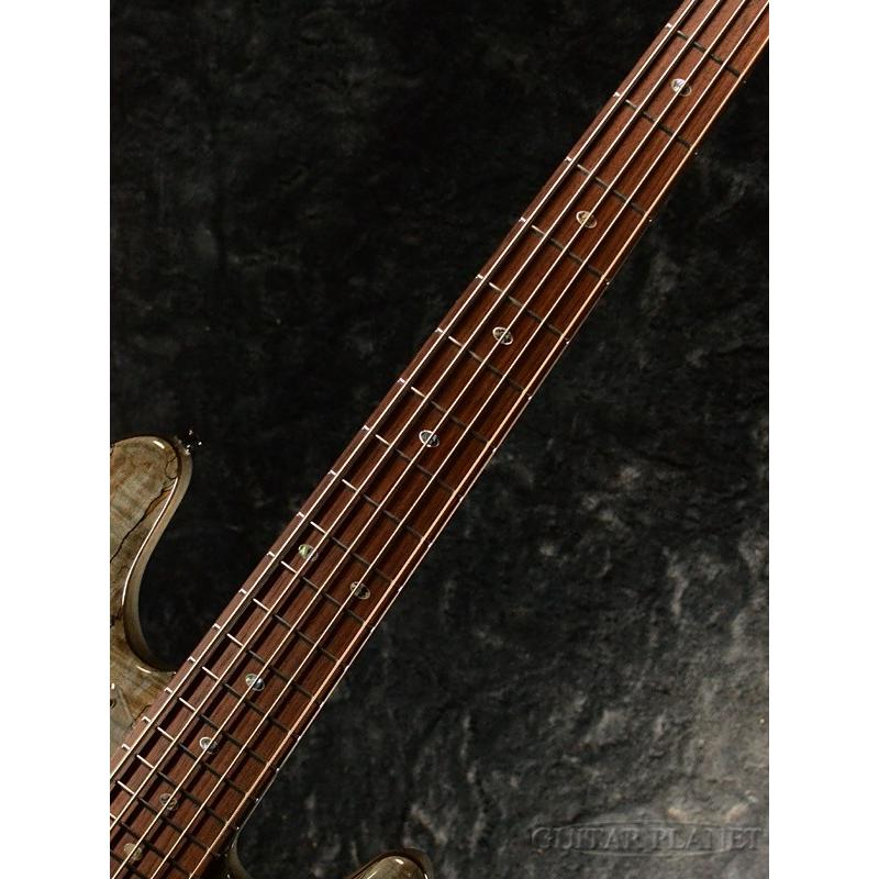 FREEDOM CUSTOM GUITAR RESEARCH Order Style FT Rhino 5st -ササナキ