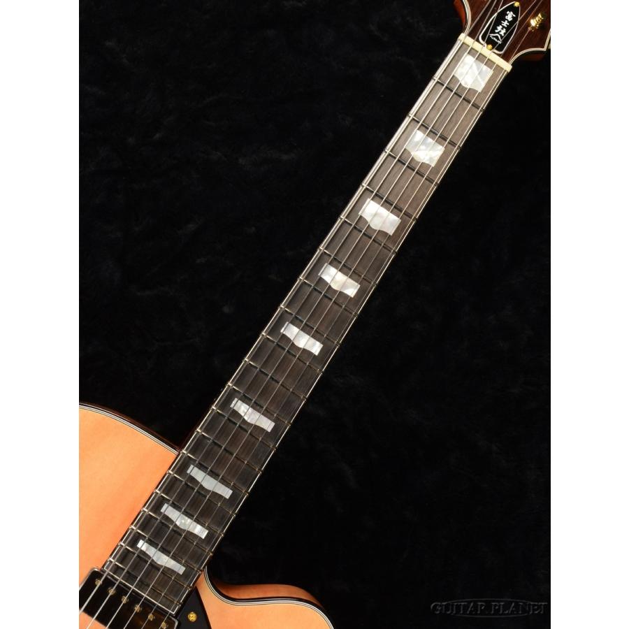 フジゲン　エレキギター FUJIGEN（フジゲン） FgN(FUJIGEN) NLS100RMPTB-OLP (Old Lake Placid