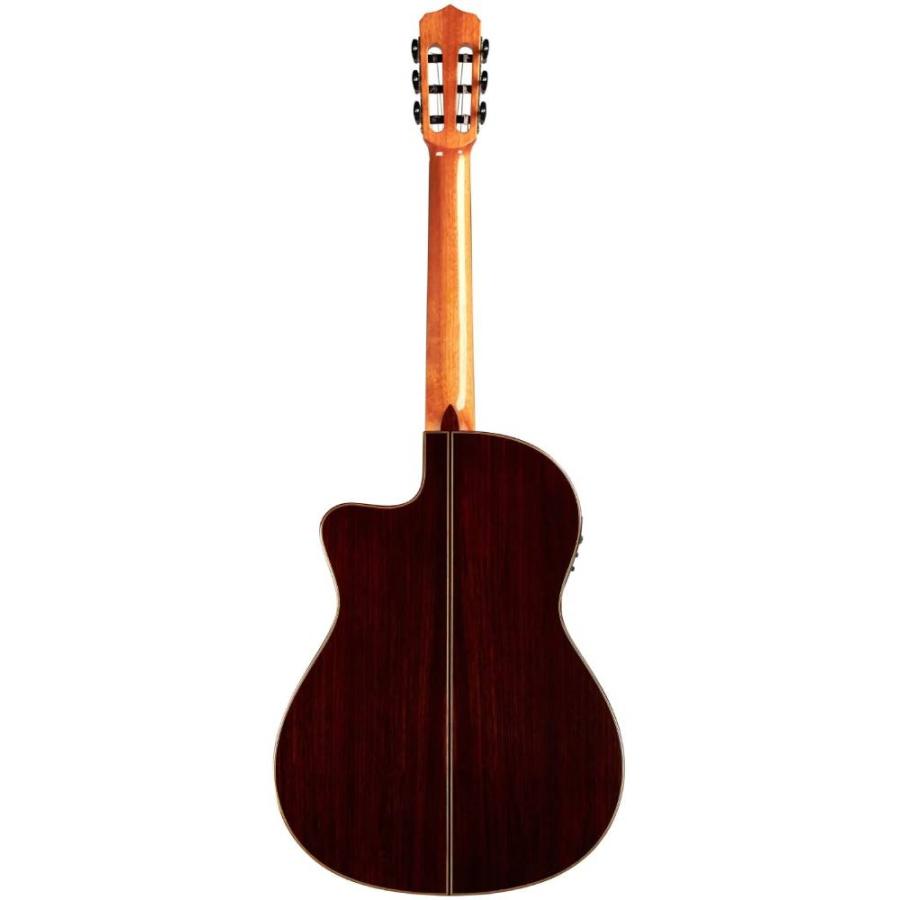 Cordoba / Fusion 12 Rose II エレガット《アコギ》の画像